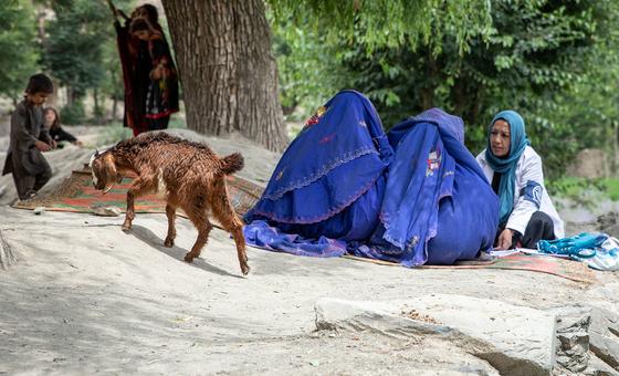 Cinq ans de pouvoir taliban : les Afghanes toujours plus enfermées